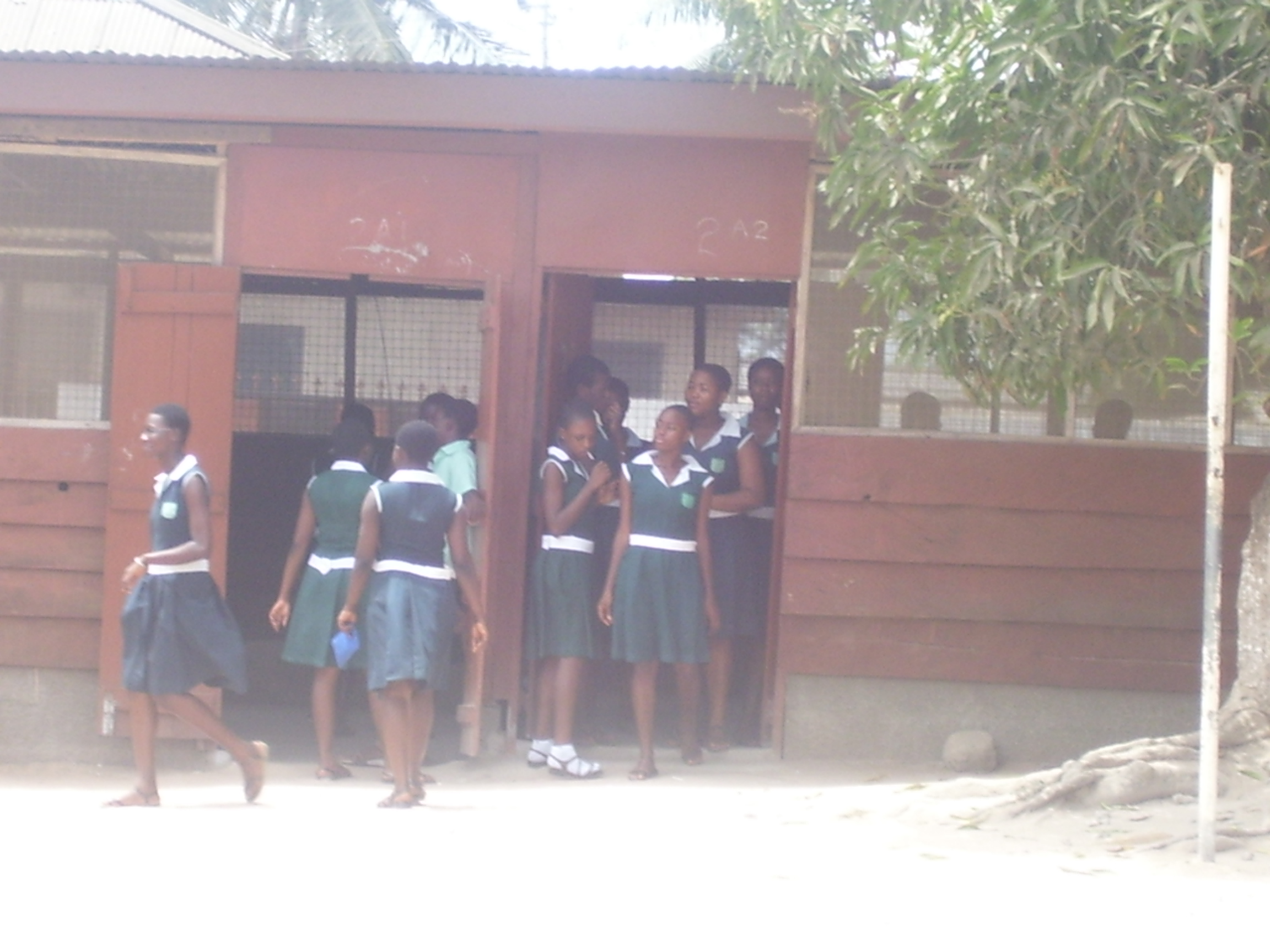 Nutshell Care Foundation